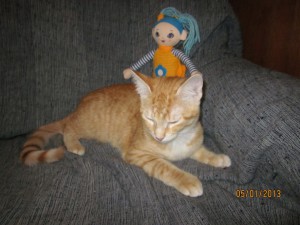 Malagueta (Fotos do Antes e Depois)